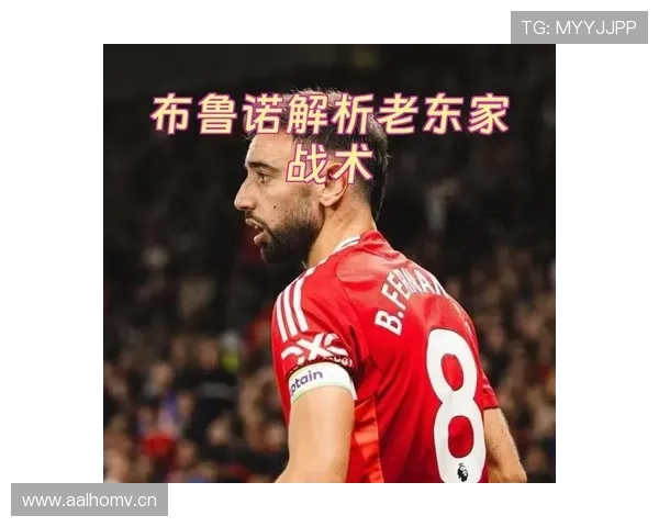 布鲁诺战术价值提升